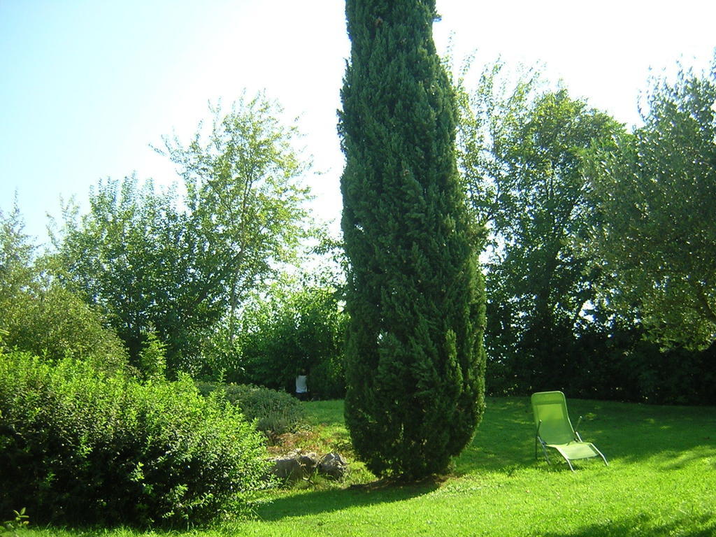 Agriturismo Trebisonda Country Resort Monzambano Eksteriør billede