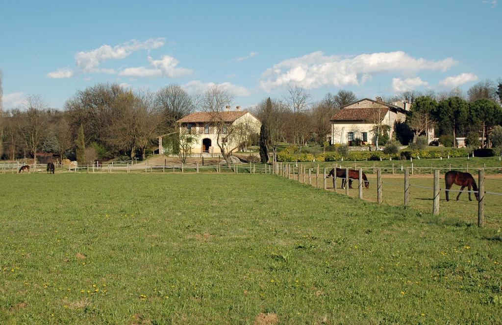 Agriturismo Trebisonda Country Resort Monzambano Eksteriør billede