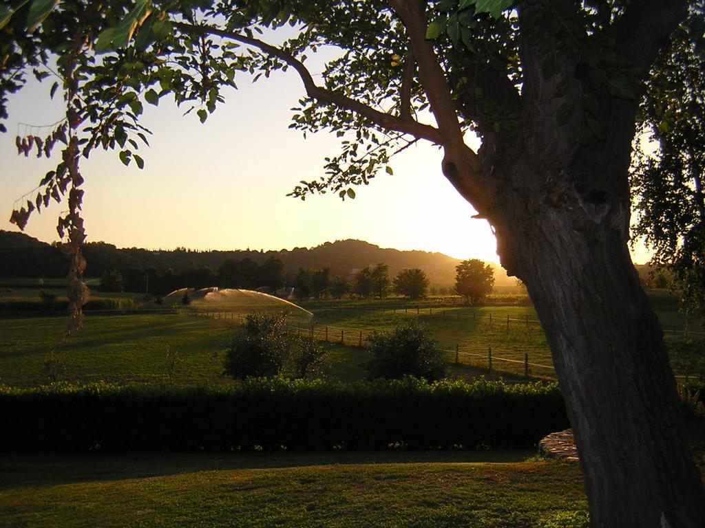 Agriturismo Trebisonda Country Resort Monzambano Eksteriør billede
